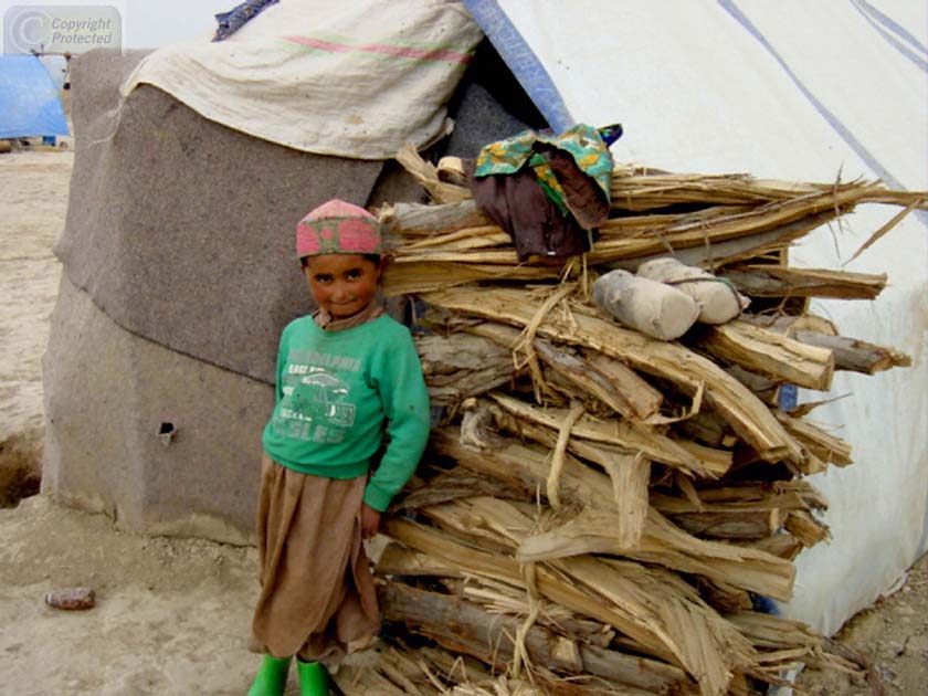 Boy at wood pile